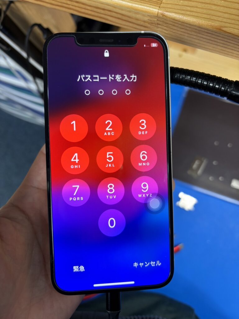 iPhone12起動後写真