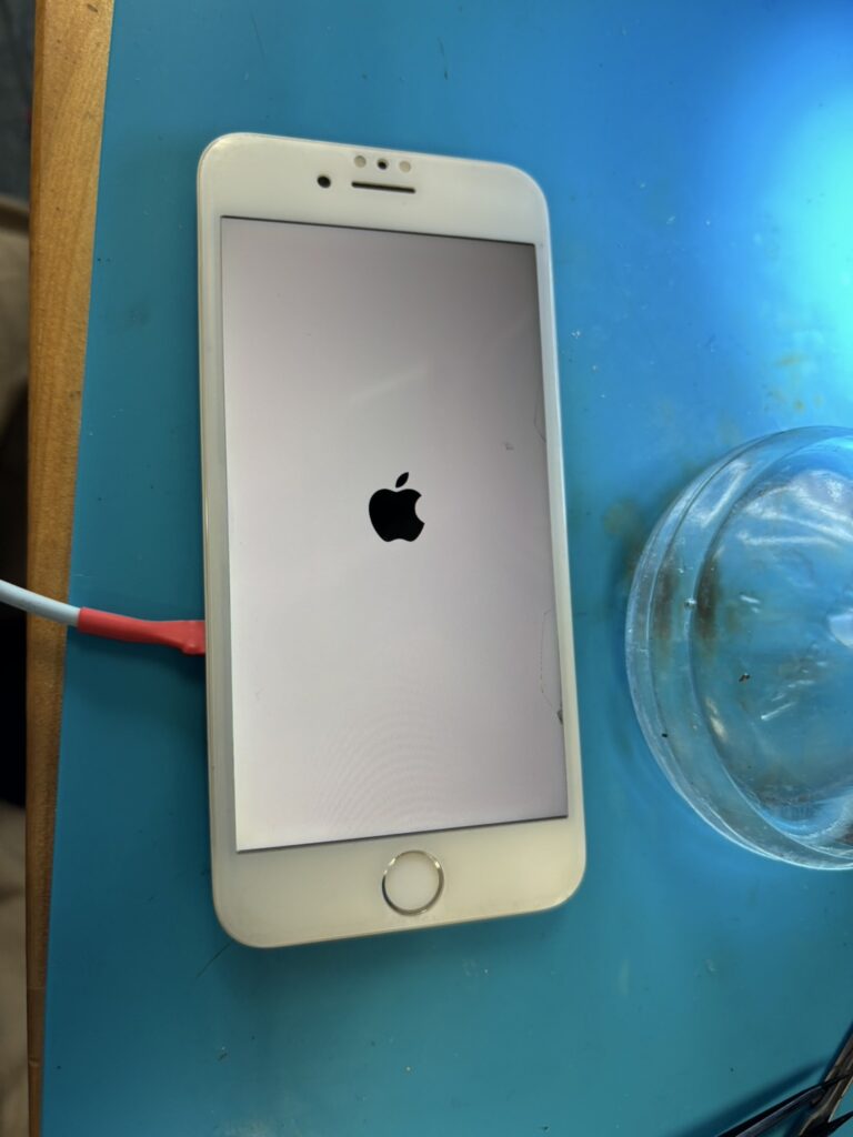 iPhone8起動前
