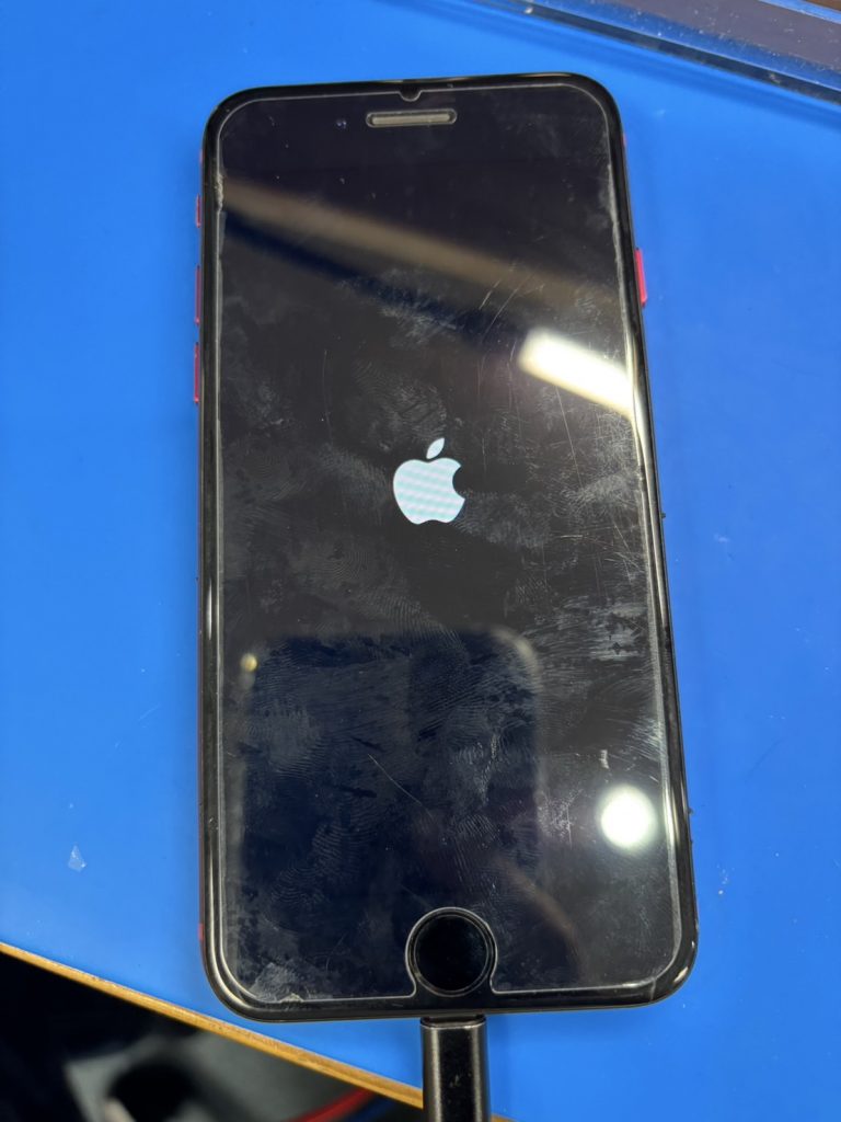 iPhone SE 第2世代 起動時のロゴ表示