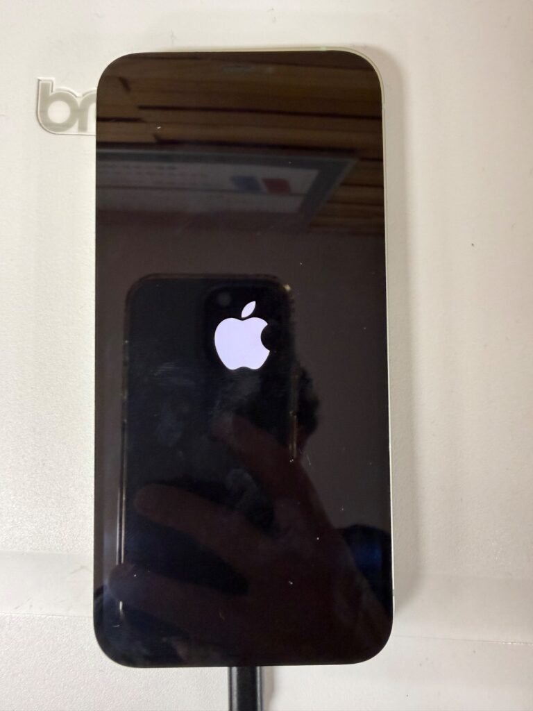 iPhone 12 症状・外観 起動確認 ロゴ